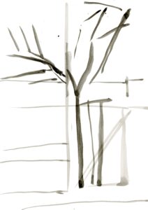 Measuring the trees pencil sketches east-indian inc on paper Measuring the trees 28,5 x 21 cm 2015