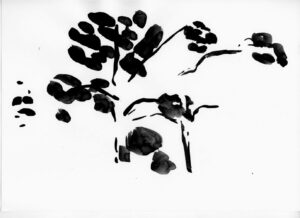 z.t. pencil sketches east-indian inc on paper A view 21 x 28,5 cm 2014